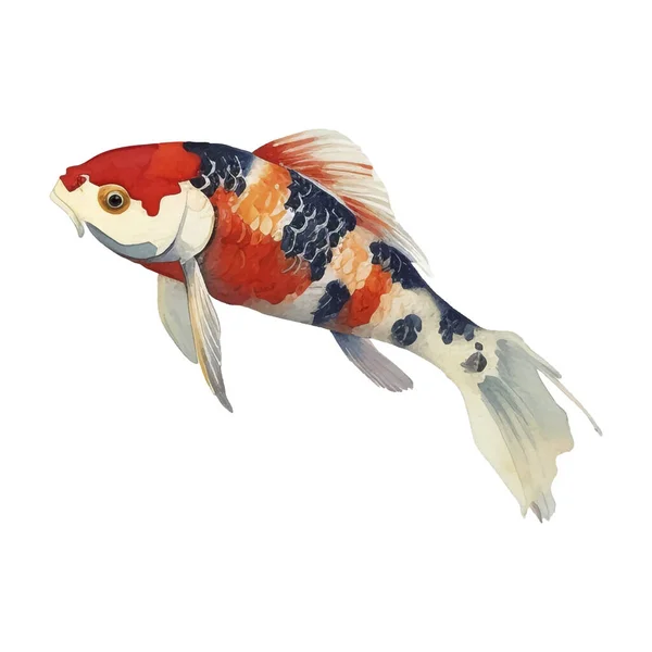 Acuarela Pintada Mano Koi Fish Illustration Elementos Estilo Japonés Aislados — Archivo Imágenes Vectoriales
