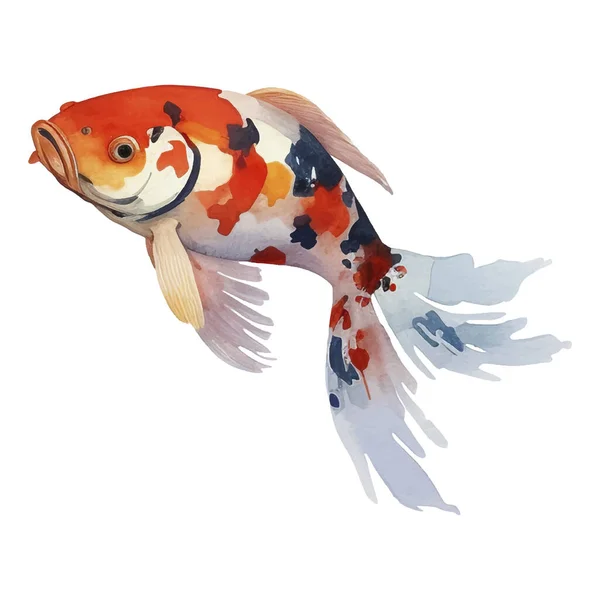 Υδατογραφία Χέρι Ζωγράφισε Koi Fish Εικονογράφηση Ιαπωνικά Στοιχεία Στυλ Απομονωμένα — Διανυσματικό Αρχείο