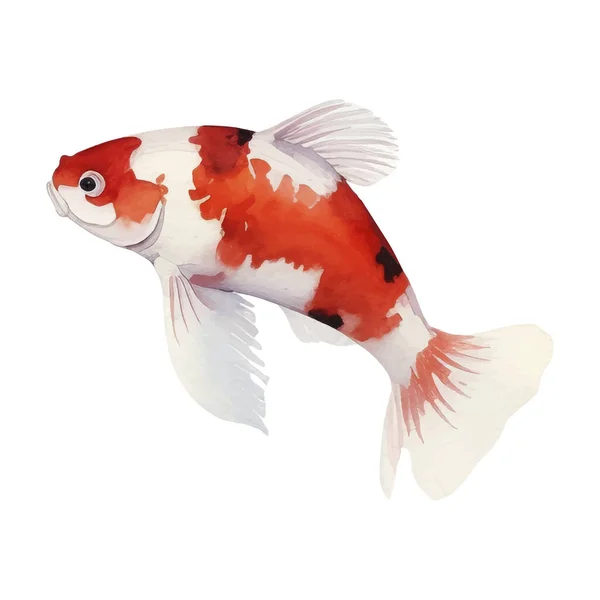 Suluboya Resmi Koi Balığı Çizimi Beyaz Arkaplanda Japon Tarzı Elementler — Stok Vektör