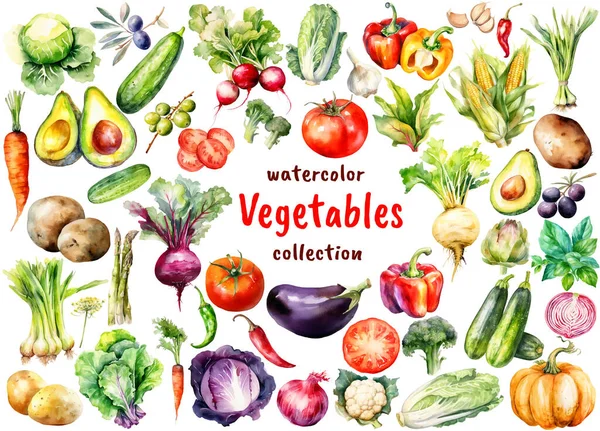 Aquarell Gemüse Und Salat Kollektion Hand Gezeichnete Frische Lebensmittel Design — Stockvektor