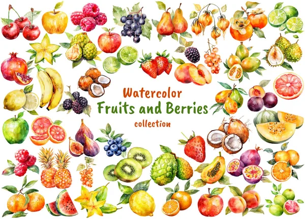 Υδατογραφία Φρούτα Και Μούρα Συλλογή Χειροποίητα Φρέσκα Στοιχεία Σχεδιασμού Τροφίμων — Διανυσματικό Αρχείο