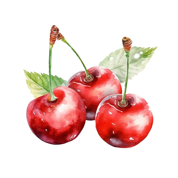 水彩桜のイラスト 白を基調とした手描きの生鮮食品のデザイン要素 — ストックベクタ