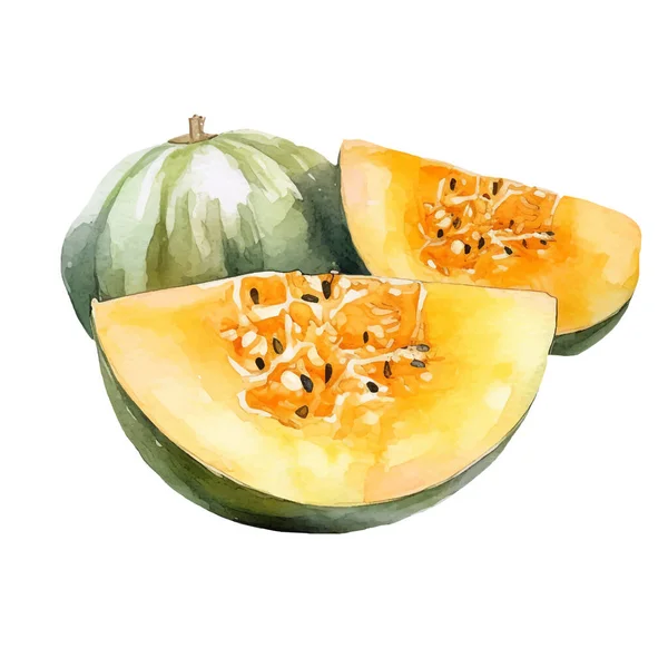 Acuarela Cantaloupe Ilustración Elemento Diseño Alimentos Frescos Dibujados Mano Aislados — Vector de stock