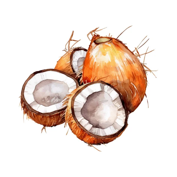 Akwarelowa Ilustracja Kokosowa Ręcznie Rysowany Element Wzornictwa Świeżej Żywności Izolowany — Wektor stockowy