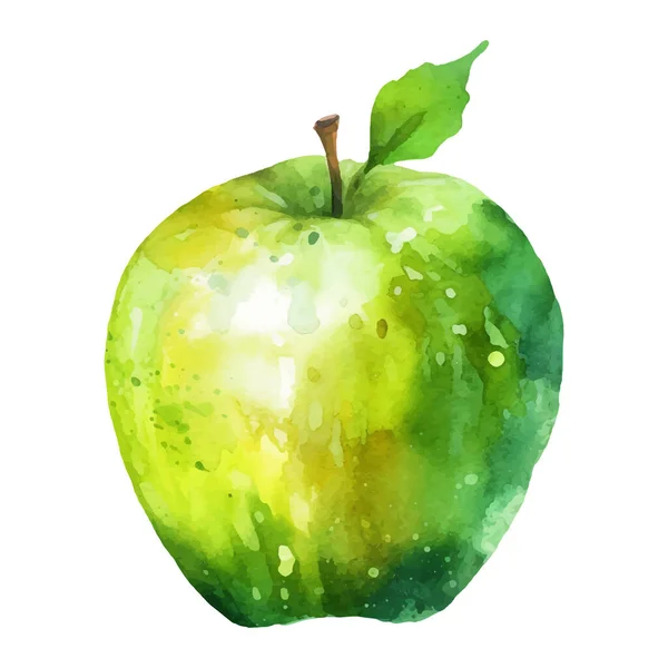 水彩画绿色苹果图解 在白色背景下隔离的手绘新鲜食物设计元素 — 图库矢量图片