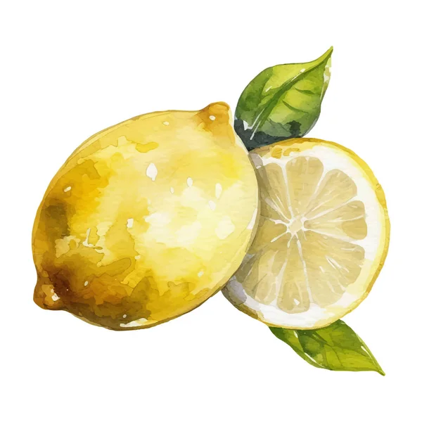 水彩レモンイラスト 白を基調とした手描きの生鮮食品のデザイン要素 — ストックベクタ