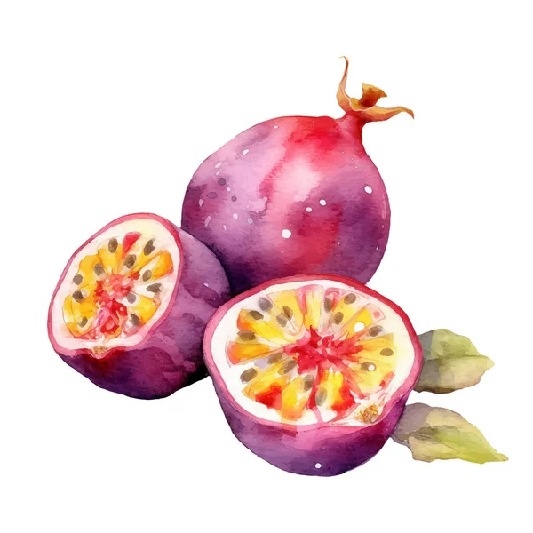 Acuarela Ilustración Fruta Pasión Elemento Diseño Alimentos Frescos Dibujados Mano — Vector de stock