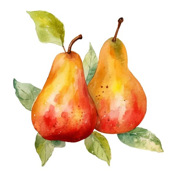 Suluboya Pears Illustration Yapımı Taze Gıda Tasarımı Elementi Beyaz Bir — Stok Vektör