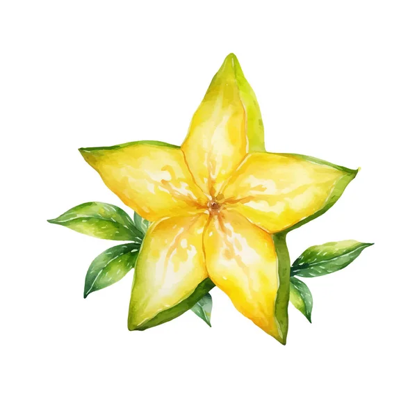 水彩星水果图解 在白色背景下隔离的手绘新鲜食物设计元素 — 图库矢量图片