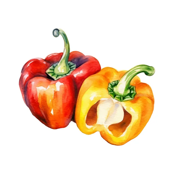 水彩钟胡椒图解 在白色背景下隔离的手绘新鲜食物设计元素 — 图库矢量图片