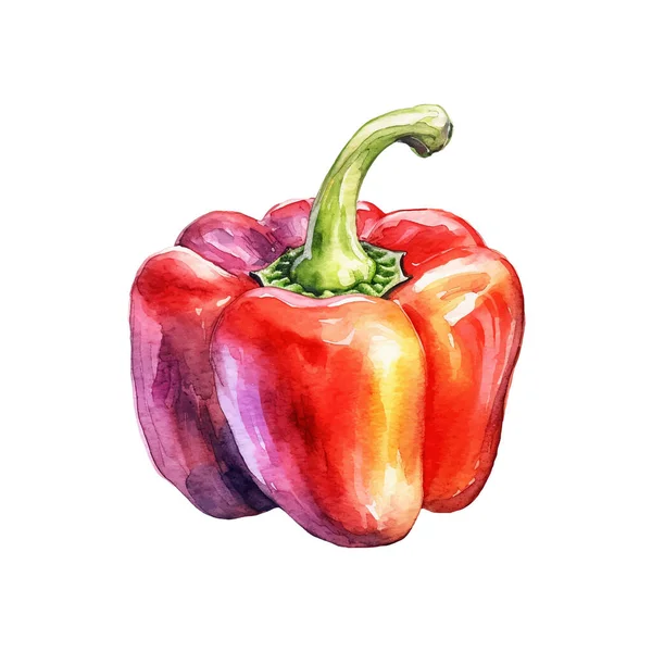 Watercolor Bell Pimenta Ilustração Elemento Desenho Alimentos Frescos Desenhados Mão — Vetor de Stock