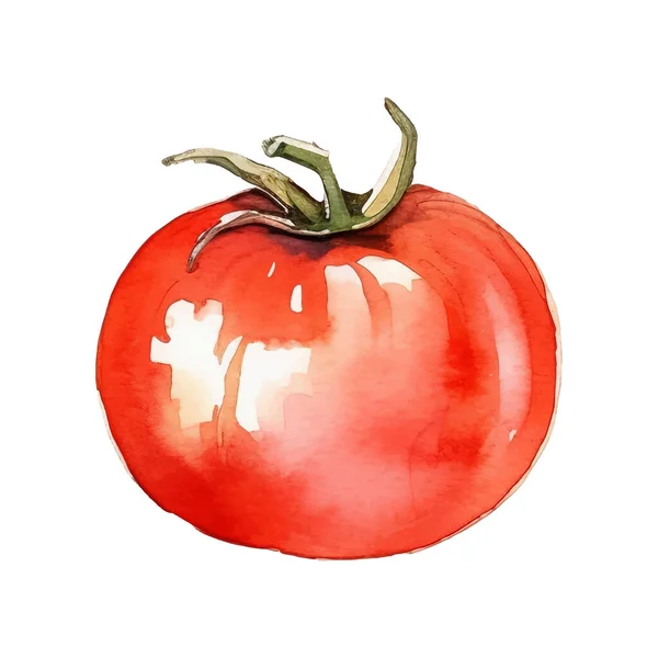 Akvarelové Rajčatové Ilustrace Ručně Kreslené Čerstvé Potraviny Designový Prvek Izolované — Stockový vektor