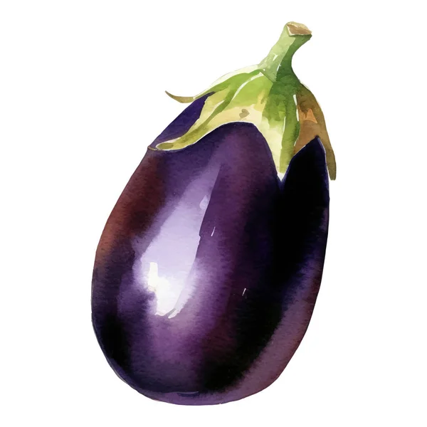 Watercolor Eggplant Ilustração Elemento Desenho Alimentos Frescos Desenhados Mão Isolado — Vetor de Stock