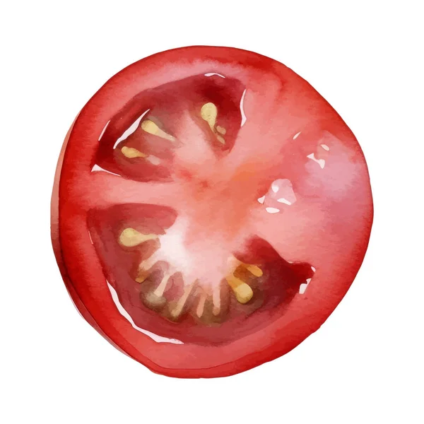Akvarell Tomat Illustration Handritade Färska Livsmedel Designelement Isolerad Vit Bakgrund — Stock vektor