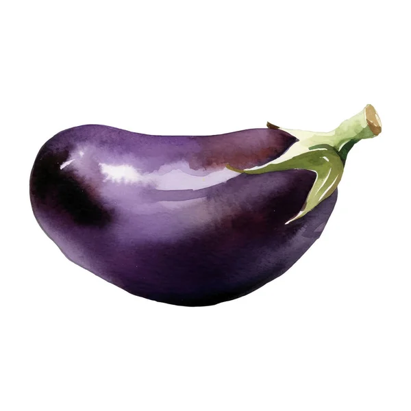 Watercolor Eggplant Ilustração Elemento Desenho Alimentos Frescos Desenhados Mão Isolado — Vetor de Stock
