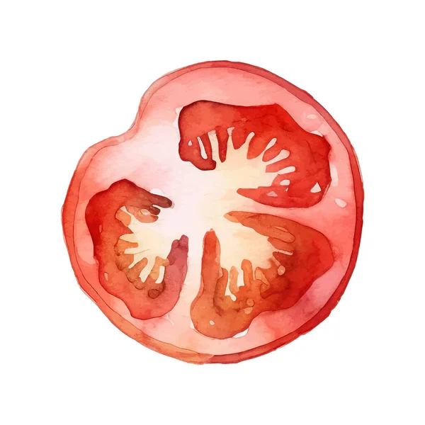 水彩トマトイラスト 白を基調とした手描きの生鮮食品のデザイン要素 — ストックベクタ