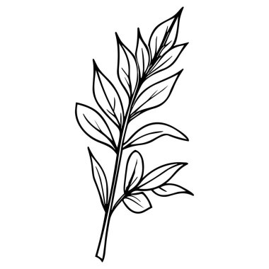 Meadow Herbs çizgisi çizimi beyaza izole edildi. Çiçekli siyah mürekkep çizimi. Modern minimalist el yapımı tasarım.