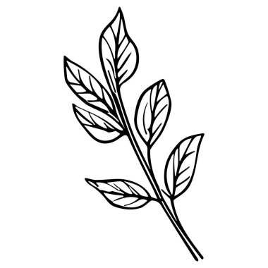 Çiçek çizgisi sanat vektör çizimi beyaz üzerine izole edildi. Çiçekli siyah mürekkep çizimi. Modern minimalist el yapımı tasarım.