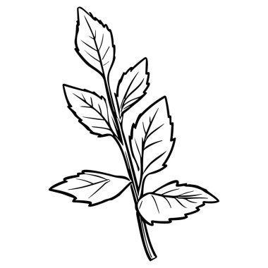 Meadow Herbs çizgisi çizimi beyaza izole edildi. Çiçekli siyah mürekkep çizimi. Modern minimalist el yapımı tasarım.