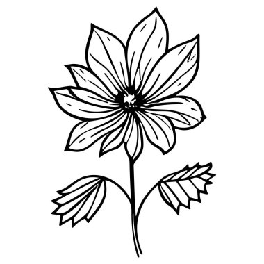 Çiçek çizgisi sanat vektör çizimi beyaz üzerine izole edildi. Çiçekli siyah mürekkep çizimi. Modern minimalist el yapımı tasarım.