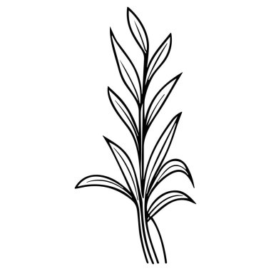 Meadow Herbs çizgisi çizimi beyaza izole edildi. Çiçekli siyah mürekkep çizimi. Modern minimalist el yapımı tasarım.