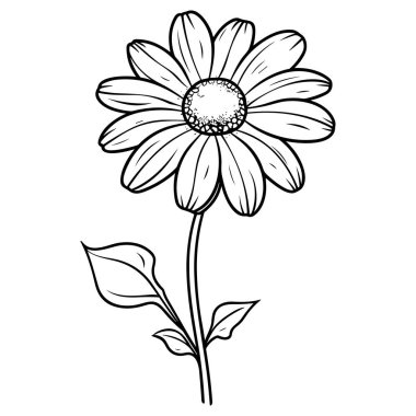 Papatya çizgisi çizgisi çizimi beyaza izole edildi. Çiçekli siyah mürekkep çizimi. Modern minimalist el yapımı tasarım.