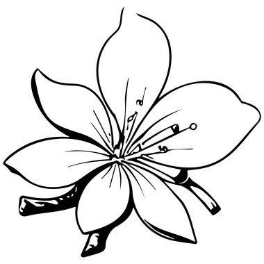 Çiçek çizgisi sanat vektör çizimi beyaz üzerine izole edildi. Çiçekli siyah mürekkep çizimi. Modern minimalist el yapımı tasarım.