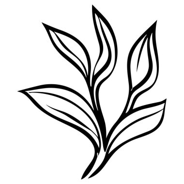 Çiçek çizgisi sanat vektör çizimi beyaz üzerine izole edildi. Çiçekli siyah mürekkep çizimi. Modern minimalist el yapımı tasarım.