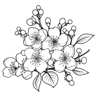 Kiraz çiçeği, botanik sanatı. Bahar bademi, sakura, elma ağacı dalı, el çizimi karalama vektörü çizimi. Güzel siyah mürekkep sanatı, beyaz arka planda izole edilmiş. Gerçekçi çiçek çiçeği çizimi.