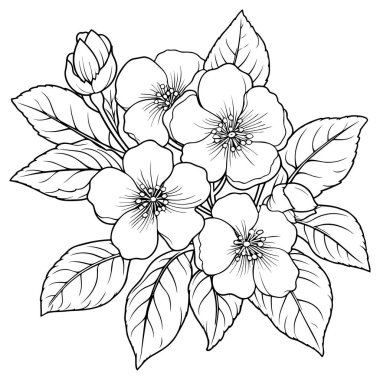 Kiraz çiçeği, botanik sanatı. Bahar bademi, sakura, elma ağacı dalı, el çizimi karalama vektörü çizimi. Güzel siyah mürekkep sanatı, beyaz arka planda izole edilmiş. Gerçekçi çiçek çiçeği çizimi.