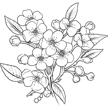 Kiraz çiçeği, botanik sanatı. Bahar bademi, sakura, elma ağacı dalı, el çizimi karalama vektörü çizimi. Güzel siyah mürekkep sanatı, beyaz arka planda izole edilmiş. Gerçekçi çiçek çiçeği çizimi.