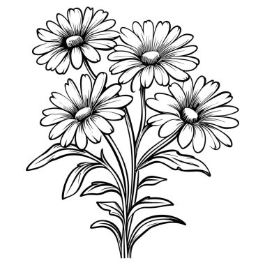 Papatya çizgisi çizgisi çizimi beyaza izole edildi. Çiçekli siyah mürekkep çizimi. Modern minimalist el yapımı tasarım.