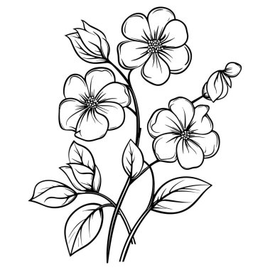 Çiçek çizgisi sanat vektör çizimi beyaz üzerine izole edildi. Çiçekli siyah mürekkep çizimi. Modern minimalist el yapımı tasarım.