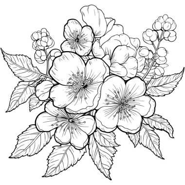 Kiraz çiçeği, botanik sanatı. Bahar bademi, sakura, elma ağacı dalı, el çizimi karalama vektörü çizimi. Güzel siyah mürekkep sanatı, beyaz arka planda izole edilmiş. Gerçekçi çiçek çiçeği çizimi.