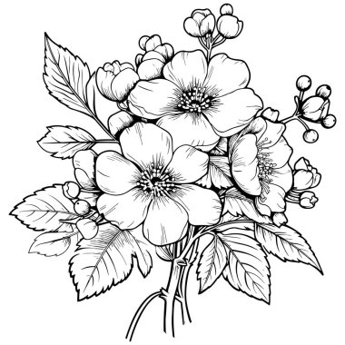 Kiraz çiçeği, botanik sanatı. Bahar bademi, sakura, elma ağacı dalı, el çizimi karalama vektörü çizimi. Güzel siyah mürekkep sanatı, beyaz arka planda izole edilmiş. Gerçekçi çiçek çiçeği çizimi.