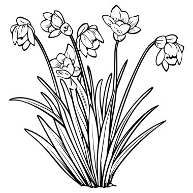 Çiçek çizgisi sanat vektör çizimi beyaz üzerine izole edildi. Çiçekli siyah mürekkep çizimi. Modern minimalist el yapımı tasarım.