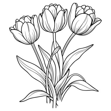 Laleler çiçek çizgisi çizgisi çizimi beyaza izole edildi. Çiçekli siyah mürekkep çizimi. Modern minimalist el yapımı tasarım.