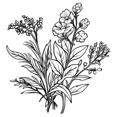 Çiçek çizgisi sanat vektör çizimi beyaz üzerine izole edildi. Çiçekli siyah mürekkep çizimi. Modern minimalist el yapımı tasarım.