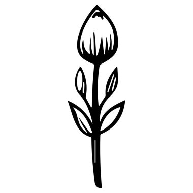 Çiçek çizgisi sanat vektör çizimi beyaz üzerine izole edildi. Çiçekli siyah mürekkep çizimi. Modern minimalist el yapımı tasarım.