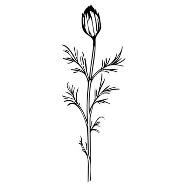 Çiçek çizgisi sanat vektör çizimi beyaz üzerine izole edildi. Çiçekli siyah mürekkep çizimi. Modern minimalist el yapımı tasarım.