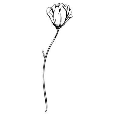 Çiçek çizgisi sanat vektör çizimi beyaz üzerine izole edildi. Çiçekli siyah mürekkep çizimi. Modern minimalist el yapımı tasarım.