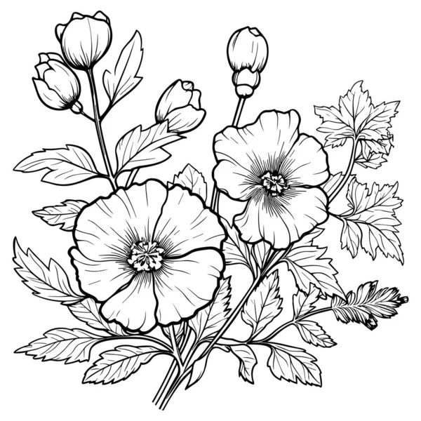 罂粟线艺术矢量图集隔离在白色 花黑色墨水草图 现代简约手绘设计 — 图库矢量图片