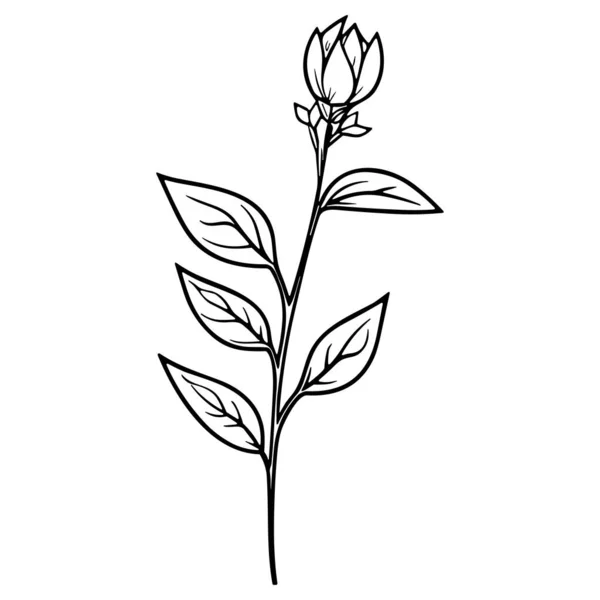 Ilustrasi Vektor Seni Garis Bunga Diisolasi Dengan Warna Putih Sketsa - Stok Vektor