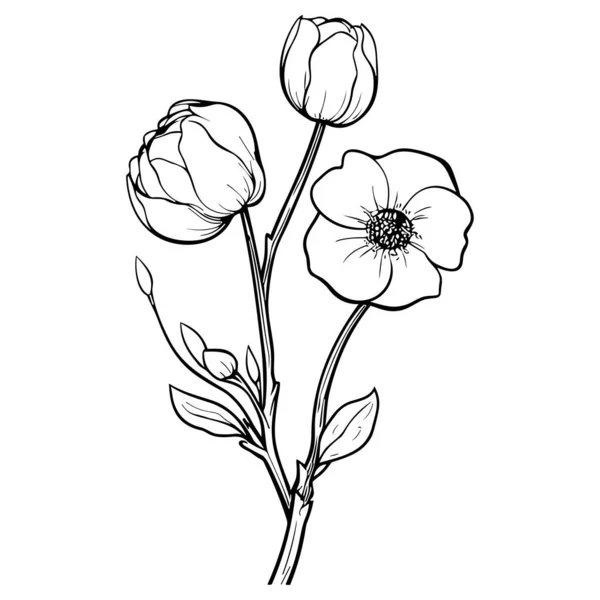 Blumenlinie Art Vektor Illustration Set Isoliert Auf Weiß Blume Schwarze — Stockvektor