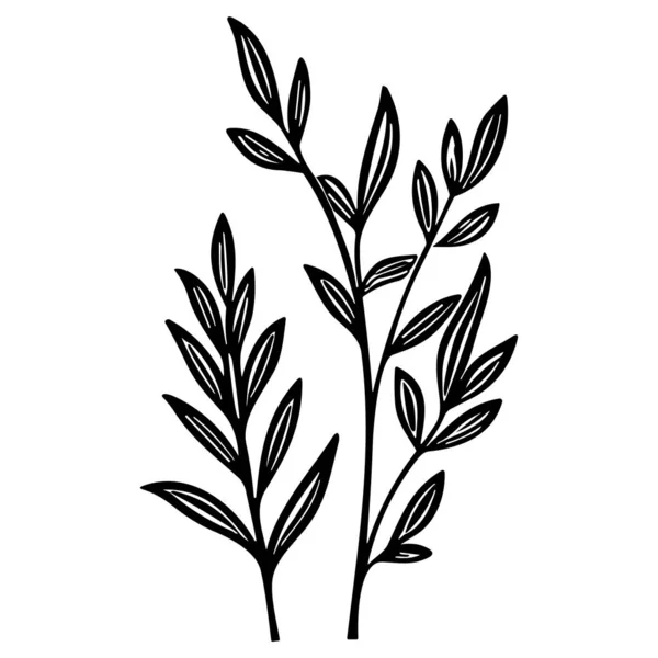 Meadow Herbs Çizgisi Çizimi Beyaza Izole Edildi Çiçekli Siyah Mürekkep — Stok Vektör