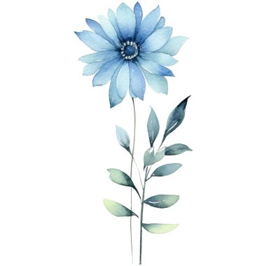 Suluboya çiçek illüstrasyonuName