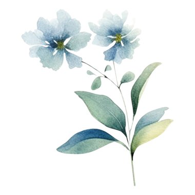 Suluboya çiçek illüstrasyonuName