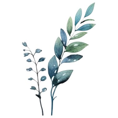 Suluboya çiçek illüstrasyonuName