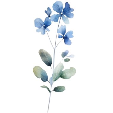 Suluboya çiçek illüstrasyonuName