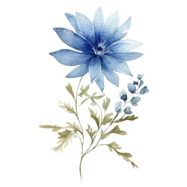 Suluboya çiçek illüstrasyonuName